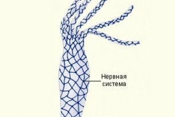 Кракен маркетплейс это
