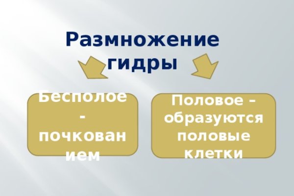 Ссылки на кракен маркетплейс тг