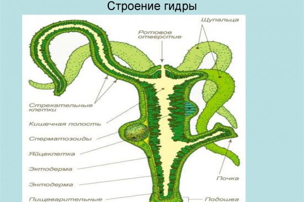 Кракен ссылка призыва нет
