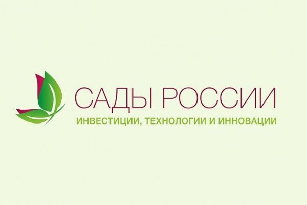 Кракен 12 сайт