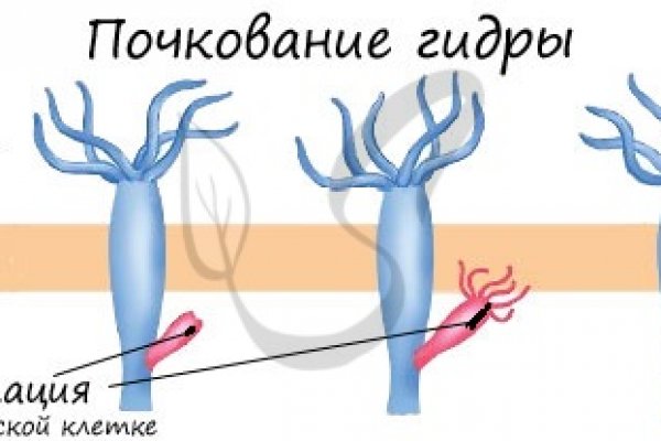 Кракен сайт зеркало рабочее