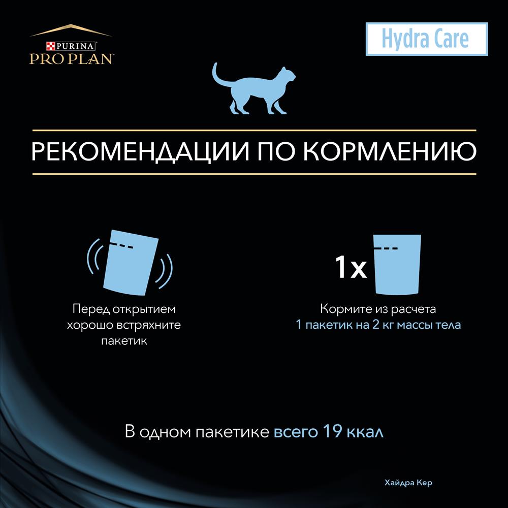 Почему не работает сайт солярис онион