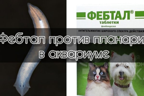 Kraken ссылка зеркало krakentor site