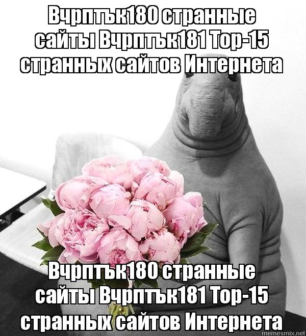 Solaris ссылка на площадку